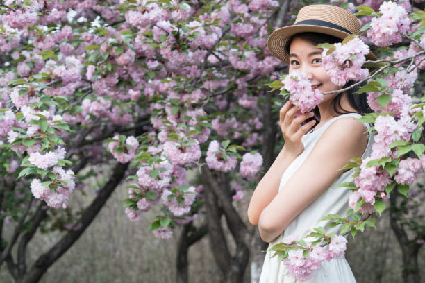 istock beautiful girl and cherry blossom 1299390188