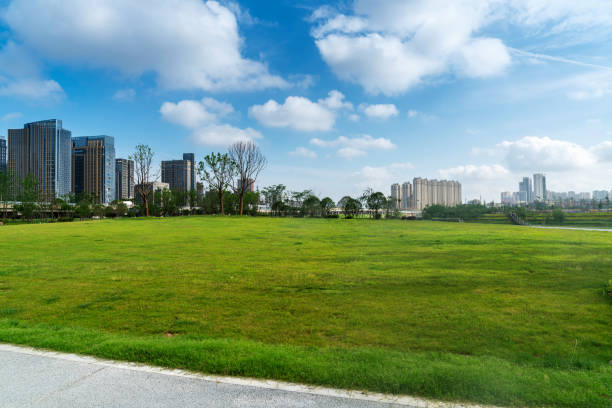 istock city park with modern building background in shanghai 1299394523
