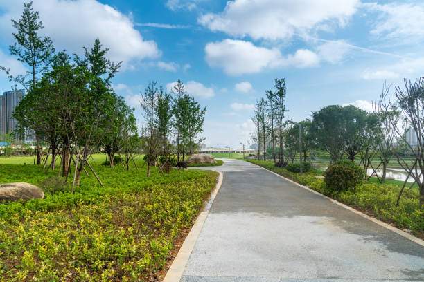 istock city park with modern building background in shanghai 1299394529