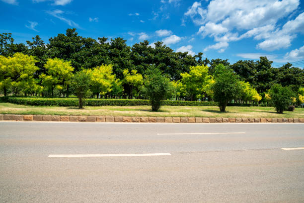 istock Empty urban road and buildings in China 1299394823