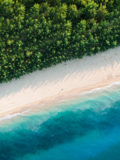istock Minimalist 3 layers scenery of beach 1299399248