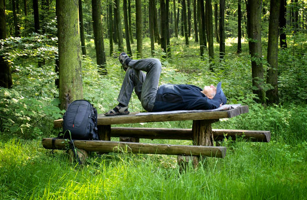 senior man taking a rest on a wooden table in the forest - forest sitting men comfortable imagens e fotografias de stock
