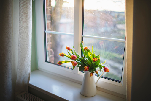 Vase of fresh tulips at the bright window