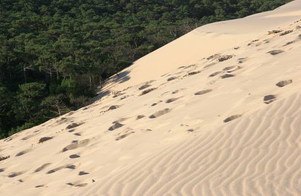 istock Dune of Pilat, Arcachon France 1299406773
