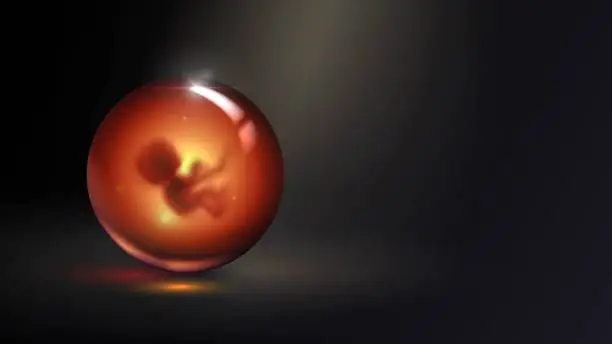 Vector illustration of Embryo in glass ball