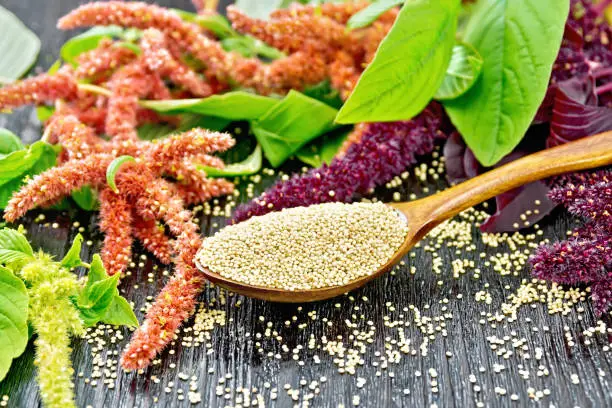 Photo of Amaranth groats in spoon on board