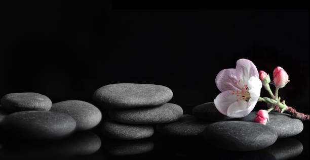 istock Spa stones and pink flowers on black background. 1299407966