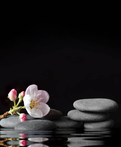 istock Spa stones and pink flowers on black background with water. 1299408024