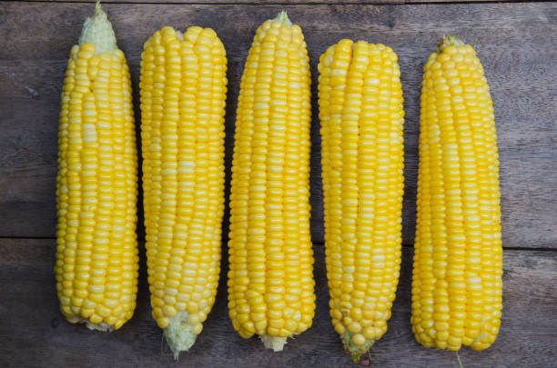 istock Fresh Sweet Corn for a Food Ingredient. 1299408817