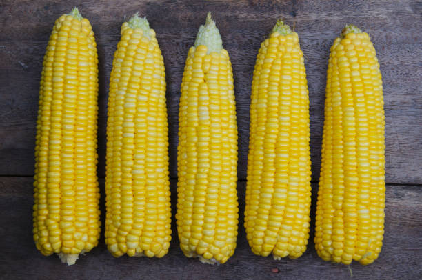 istock Fresh Sweet Corn for a Food Ingredient. 1299408821