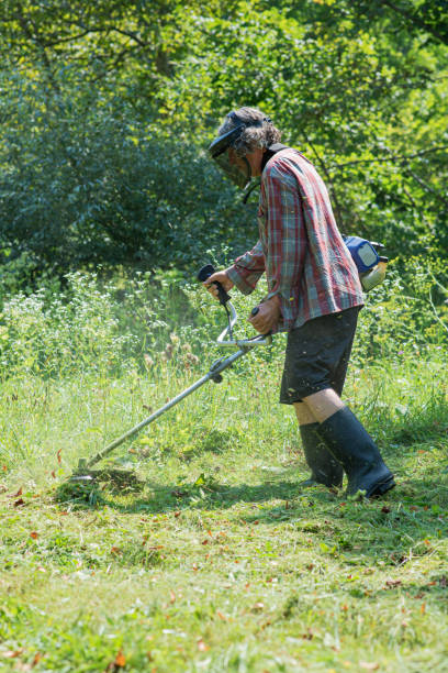 istock Senior man mowing green grass 1299410635