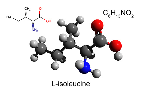 Isoleucine is an α-amino acid that is used in the biosynthesis of proteins. It contains an α-amino group, an α-carboxylic acid group, and a hydrocarbon side chain with a branch. It is classified as a non-polar, uncharged, branched-chain, aliphatic amino acid. 3D ball-and-stick model, white background