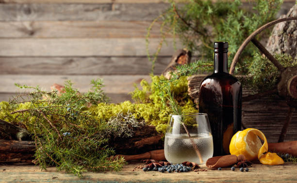 gin-tonic cocktail with ice and a sprig of rosemary. - fruit freshness tree foods and drinks imagens e fotografias de stock