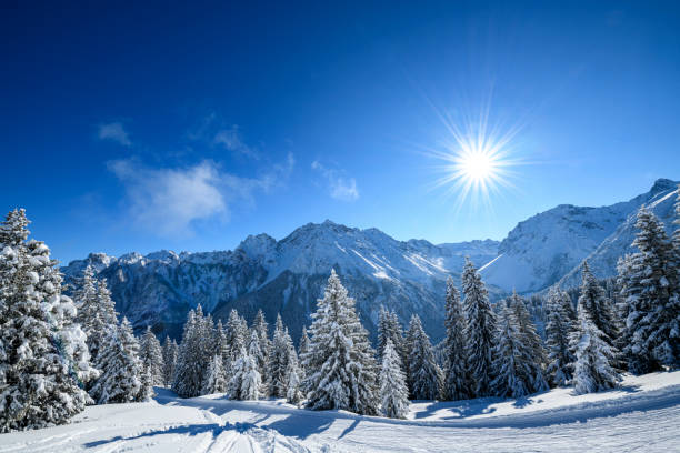 冬の朝のスキーリゾートで雪をかぶった木々 - snow mountain austria winter ストックフォトと画像