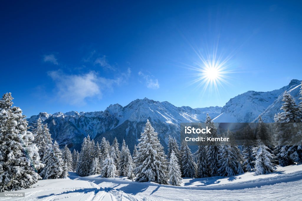 Snowcapped trees in ski resort at winter morning Snowy winter landscape and perfect conditions for winter sport in ski resort. Photographed in Brandnertal, Vorarlberg, Austria. Winter Stock Photo
