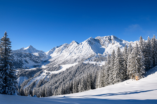 A mesmerizing view of the winter landscape with snow-covered mountains