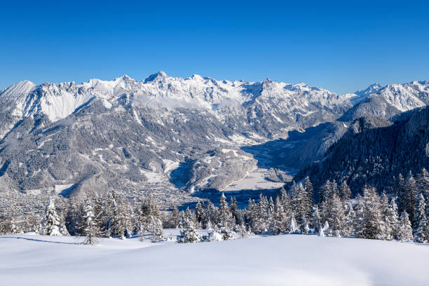 istock Snowcapped trees and powder snow in ski resort 1299419131