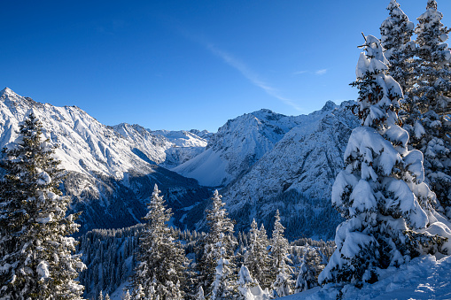 Snowy winter landscape with snowcapped trees in front and mountains in the background. Photographed in Brandnertal, Vorarlberg, Austria.