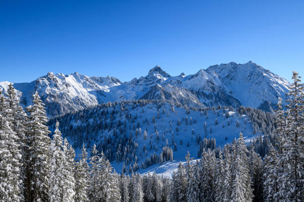 istock Snowcapped trees and mountains 1299419139