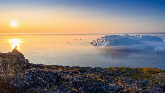 large glaciers in the bay by the rocky shore in the light of the setting sun with fog over the water