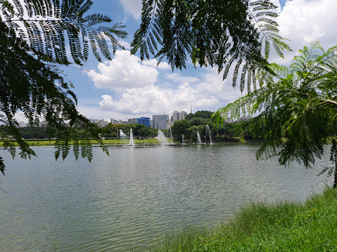São Paulo, SP, Brazil - January 20, 2021: Lake of Ibirapuera Park on a sunny day