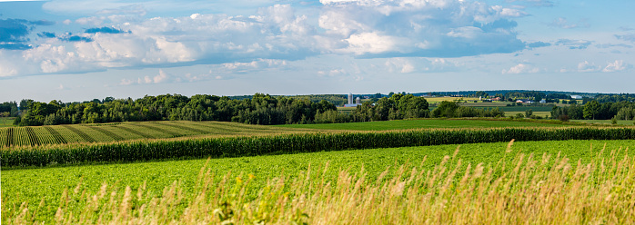 Central Wisconsin farmland in summer, panoramic