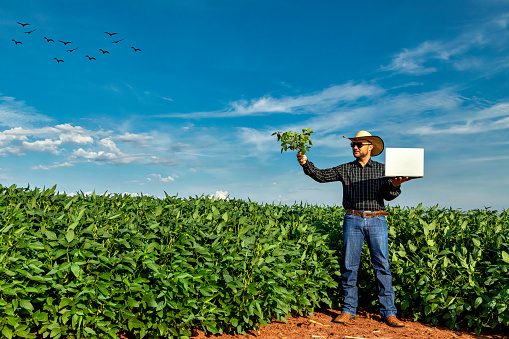 Young agronomist in hat holding  notebook in soybean field.