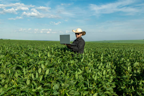 istock Young agronomist in hat holding  notebook in soybean field. 1299429531