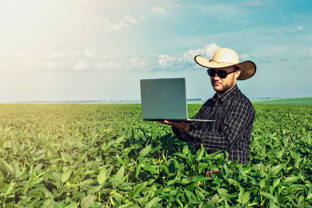 istock Young agronomist in hat holding  notebook in soybean field. 1299429598