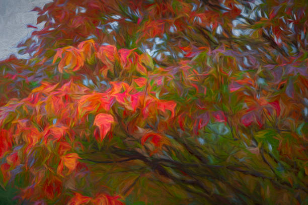 Colourful leaves on a tree branch in autumn. Post processed to give a painterly effect.