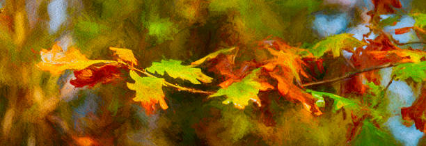 istock Oak tree leaf close-up in autumn. 1299430775