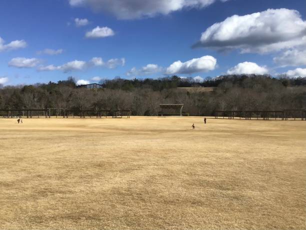 Lawn square in the park on a winter day
