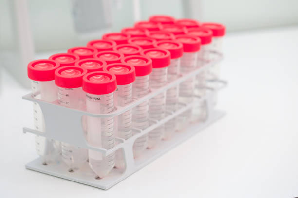 istock Batch of laboratory plastic test tubes at lab. 1299436546