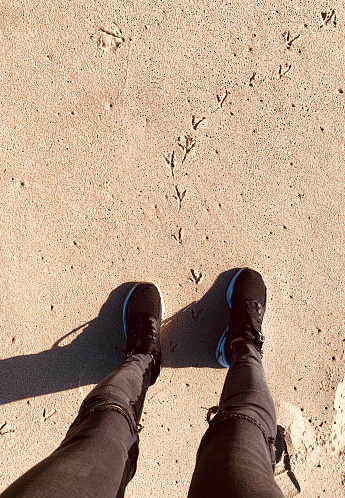 Taken on Mobile Device walk along the ocean bird tracks in the sand