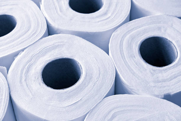 istock Toilet paper rolls in monochrome blue 1299440598