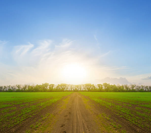 istock quiet sunset over the green rural fields, countryside fresh agricultural background 1299440678