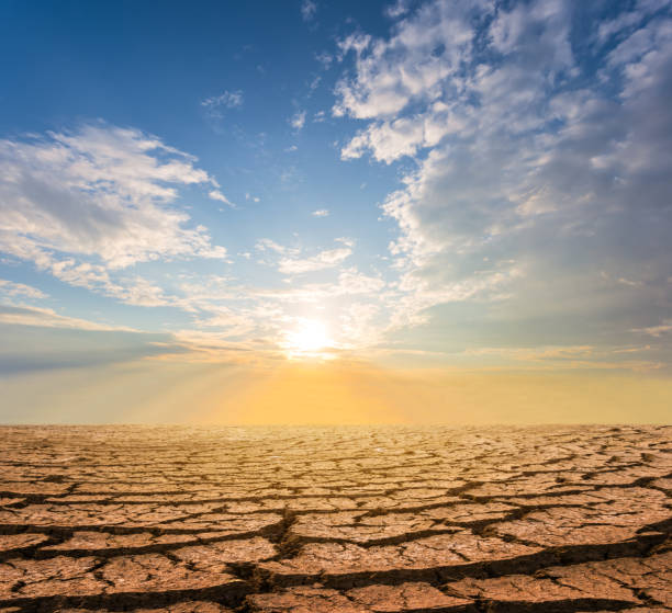istock dry cracked waterless plain at the sunset, dramatic ecological disaster background 1299440702