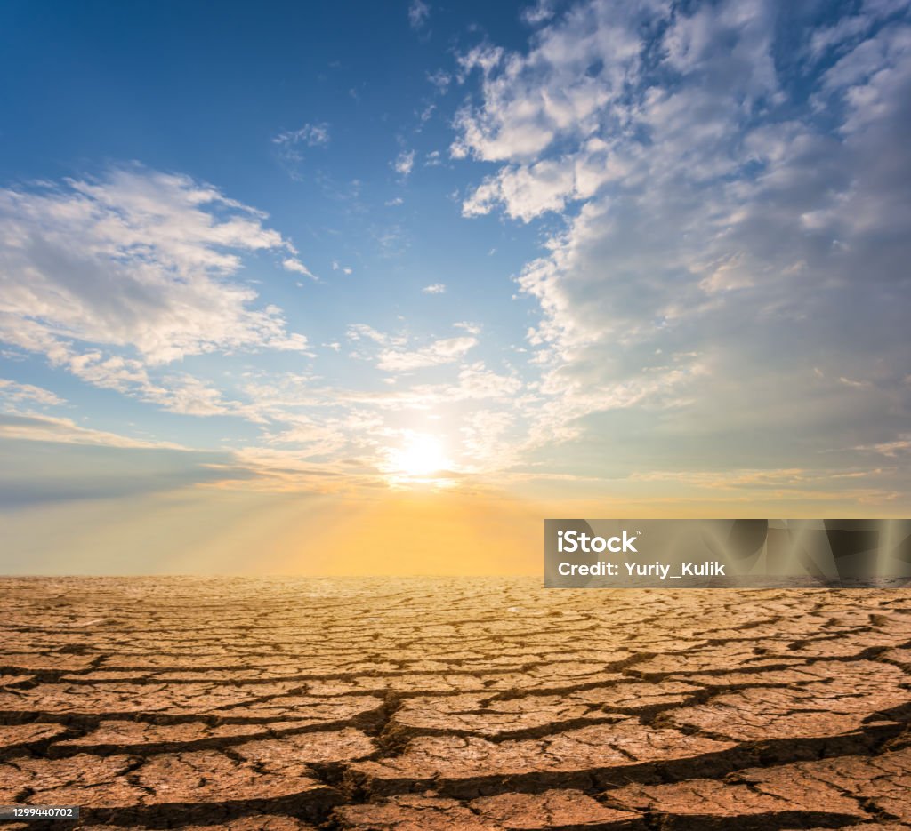 Waterless Background Dry Cracked Waterless Plain At The Sunset Dramatic Ecological Disaster ...