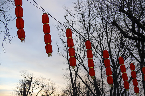 Chinese New Year Decorative Lanterns