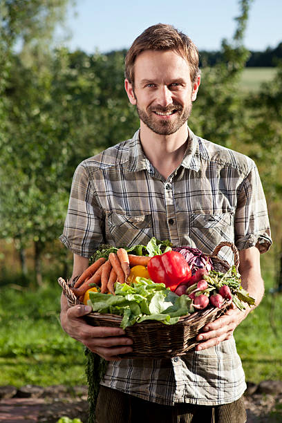 男性の野菜を詰めたバスケット - vegetable basket ストックフォトと画像