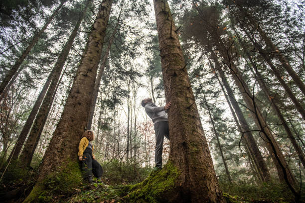 istock Cute Couple enjoying the beautiful forest in cold misty day 1299443060
