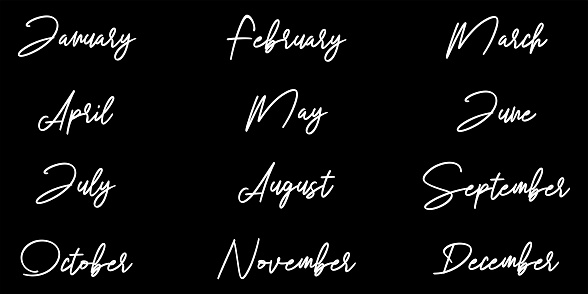 12 month. Handwritten lettering months of the year. Vector illustration.