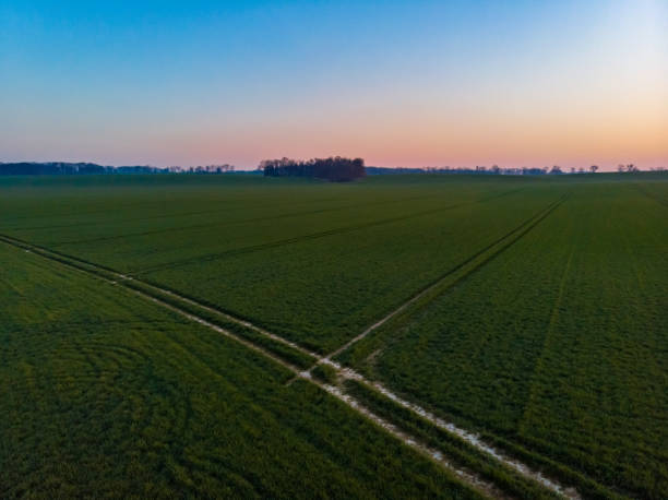 istock Aerial drone view to long paths between huge fields at sunny morning 1299448249