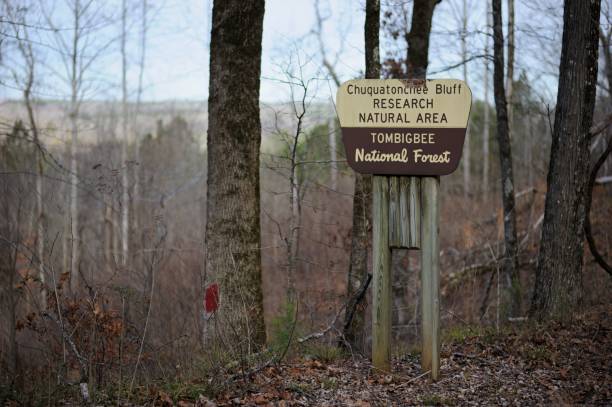 istock Chuquatonchee Bluff Research Natural Area sign 1299450534
