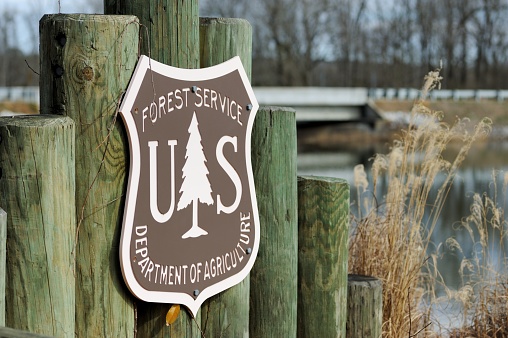 New Houlka, Mississippi - January 23, 2021: U.S. Forest Service Department of Agriculture sign near Davis Lake along County Road 124 in the Tombigbee National Forest near New Houlka, Mississippi.