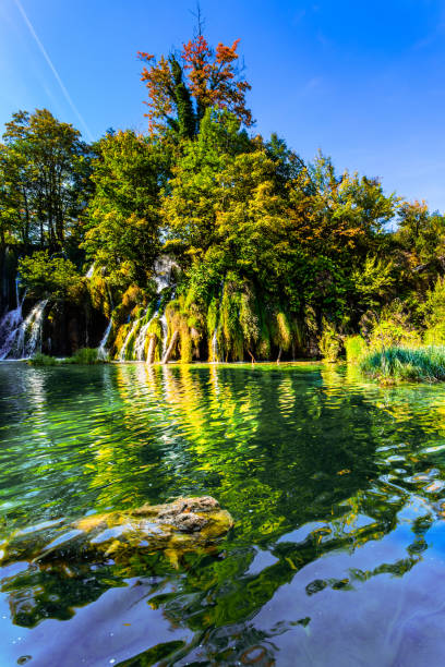 istock The shallow lake in autumn day 1299457115