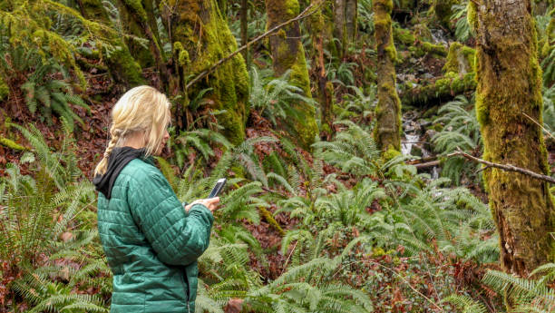 istock Woman uses smart phone in lush forest 1299462560