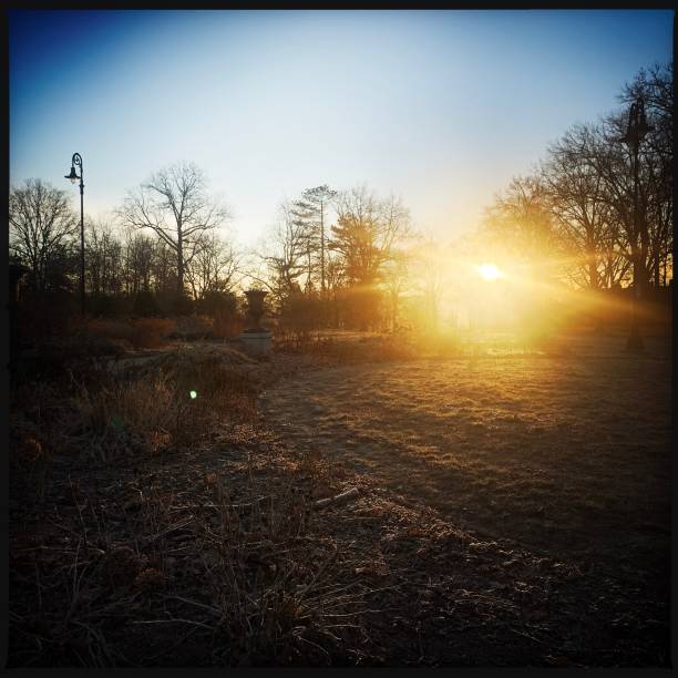 Sunny winter morning