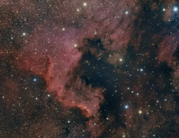NGC7000 is the emission nebula in the Cygnus constellation.

EXIF:
Imaging telescopes or lenses: SkyWatcher ED80 Pro
Imaging cameras: QHYCCD QHY9C 
Mounts: Skywatcher HEQ5 Pro Synscan
Guiding telescopes or lenses: Orion 50mm guidescope/finderscope
Guiding cameras: QHYCCD QHY5 Mono 
Focal reducers: Skywatcher .85x Focal Reducer & Corrector
Frames: 10x1500"
Location: Mazin, Sveti Rok (Croatia)