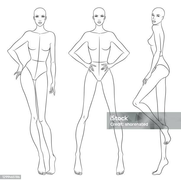 Beautiful Slim Woman In Different Poses Vector Illustration Nine Head Fashion Figure Template Female Body Front Side And Back Views Stock Illustration - Download Image Now